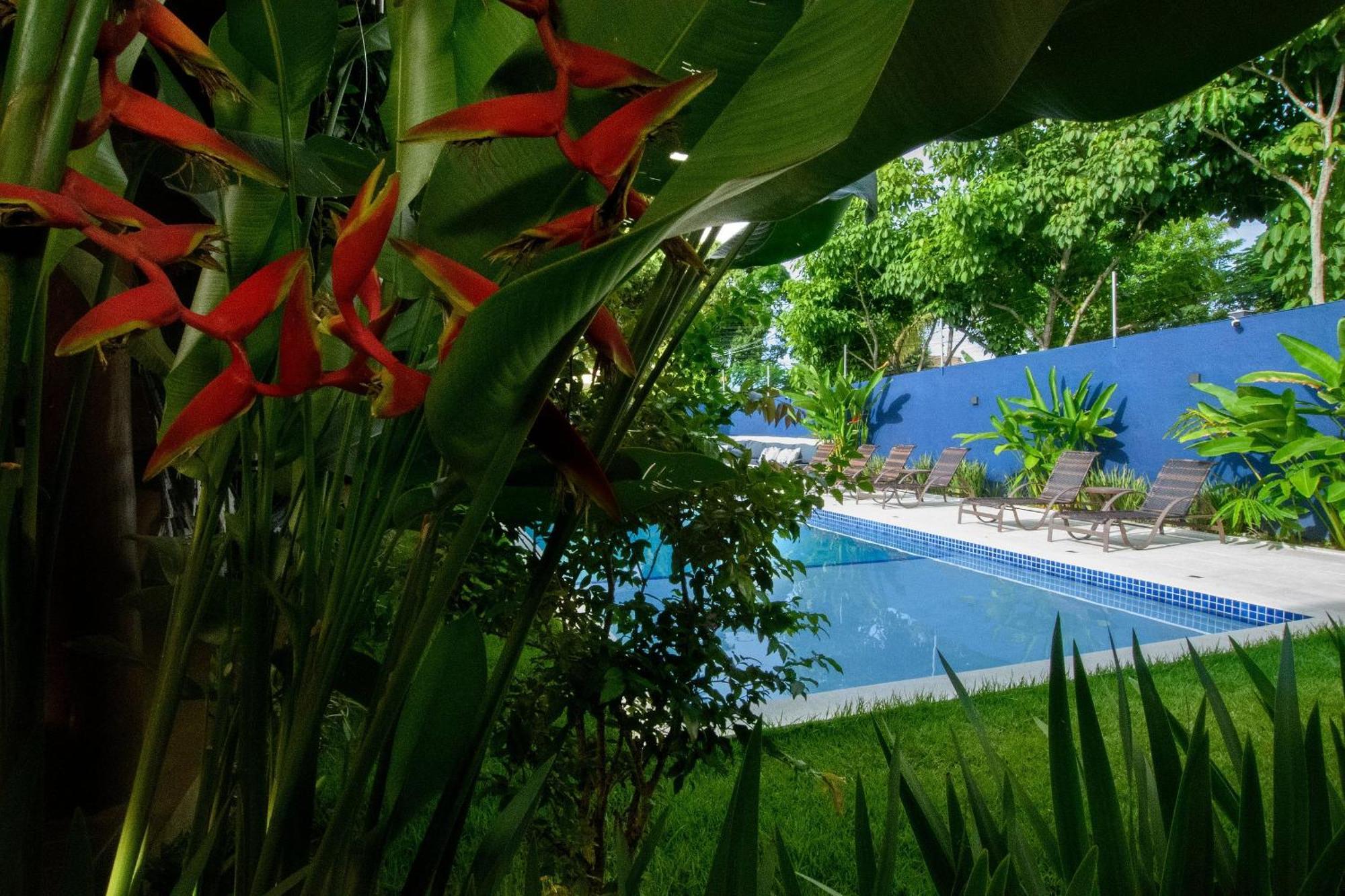 Aqui Bate A Brisa Pousada Πόρτο Σεγκούρο Εξωτερικό φωτογραφία